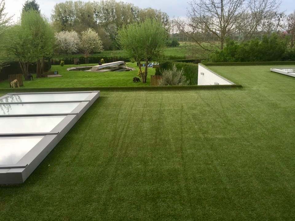 artificial-turf-on-roof
